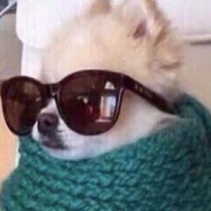 Meet your Posher, Amy